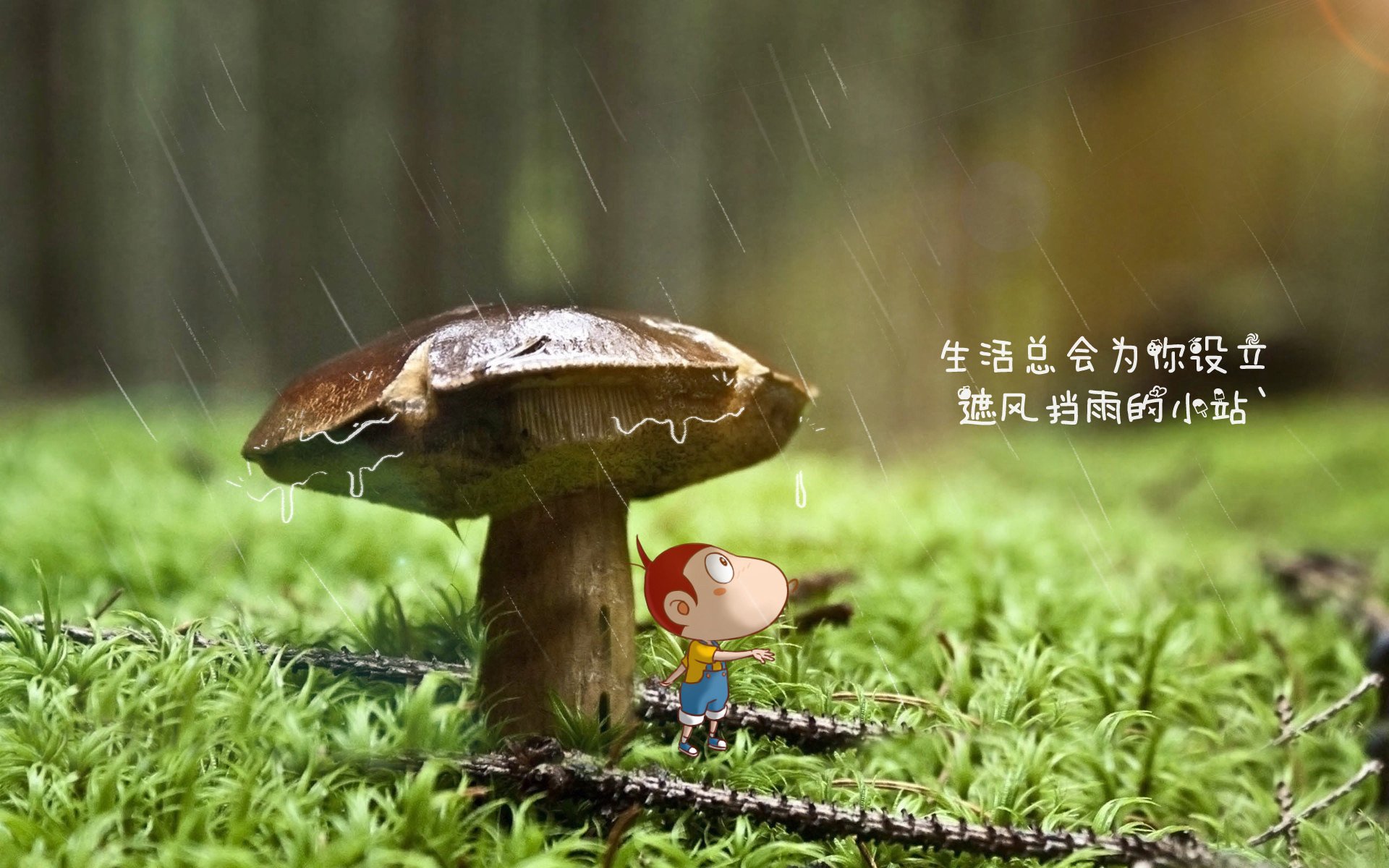 乐鱼app-英超球队体能负荷管理与伤病预防机制探讨，球员负荷管理