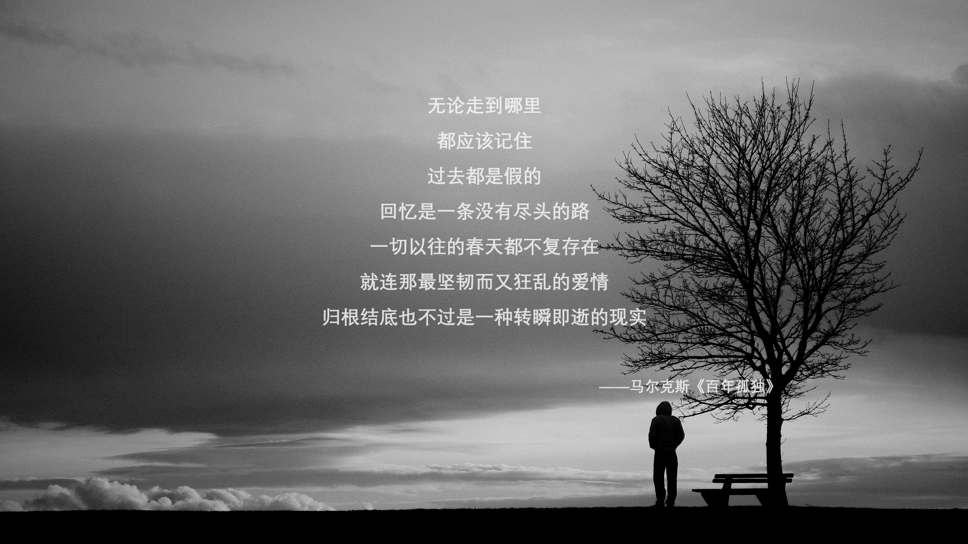 乐鱼电竞-青少年体育人才培养计划，青少年体育训练计划
