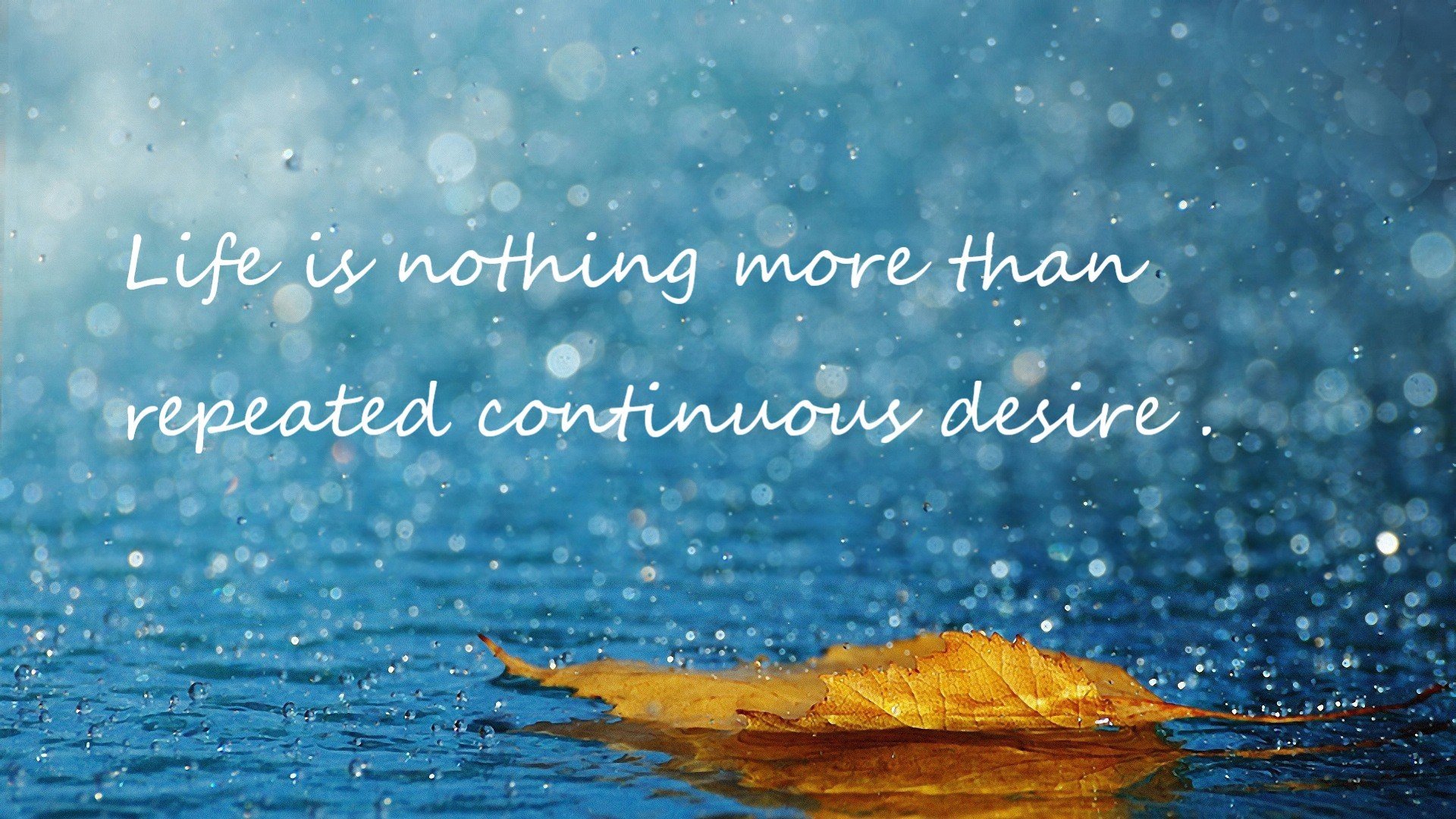 APP下载 LY Sports-花样滑冰演出尝试沉浸式剧场模式，花样滑冰场景