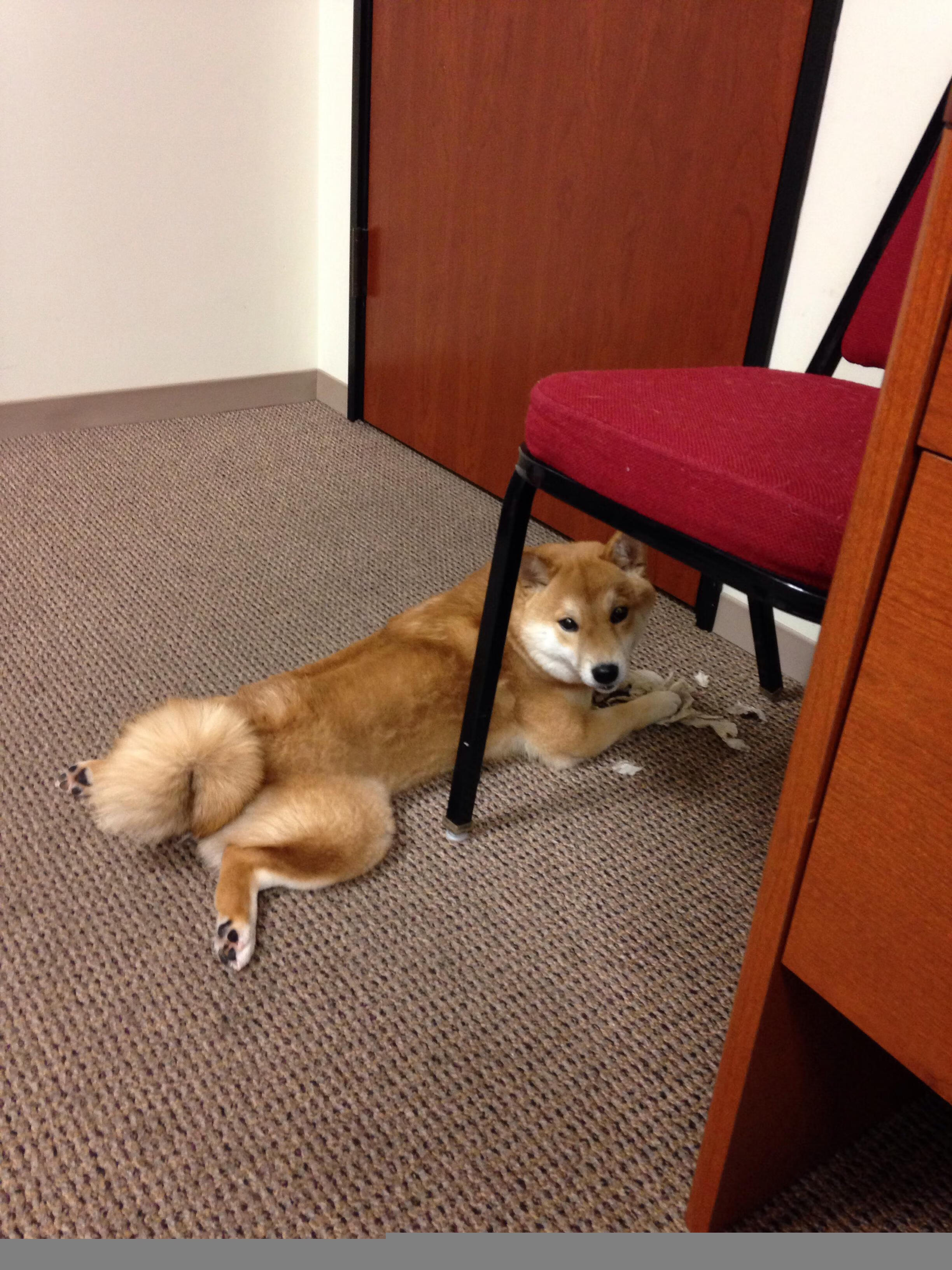 乐鱼官网-地方篮球俱乐部探索会员制运营模式增强社区联动机制，篮球俱乐部活动方案