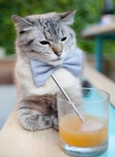 乐鱼体育-塔图姆连续封盖凯尔特人防守体系显著提升,塔图姆顶薪续约凯尔特人