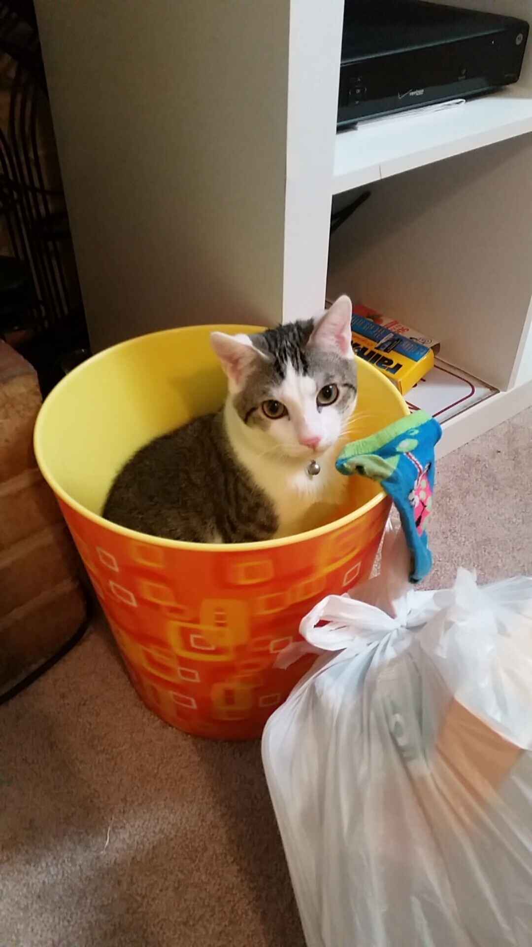 乐鱼体育登录-恩比德转身跳投多次命中难以防守,恩比德经典动作