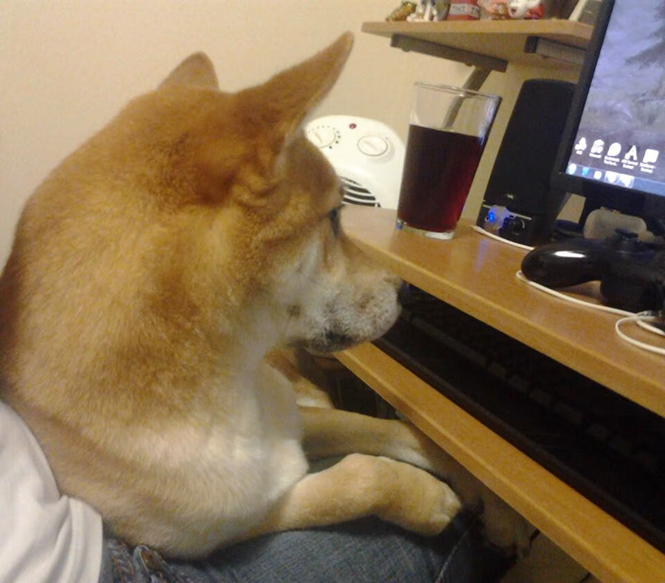 LeyuSports-日本队在亚洲杯进展顺利,期待夺冠