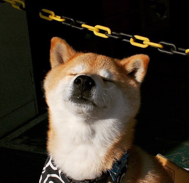 leyu乐鱼体育综合-校园足球鼓励学生担任助理教练拓展角色体验,足球队助教是什么意思