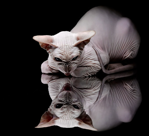 乐鱼app-比赛进入伤停补时阶段出现关键转折球迷情绪瞬间沸腾，伤停补时比分算不算